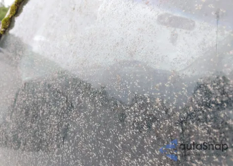 1998 GMC Savana Standard из США, поврежденный, VIN 1GTFG15W9W1009131